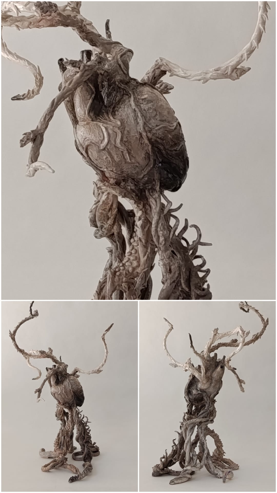 Anatomie des Waldes